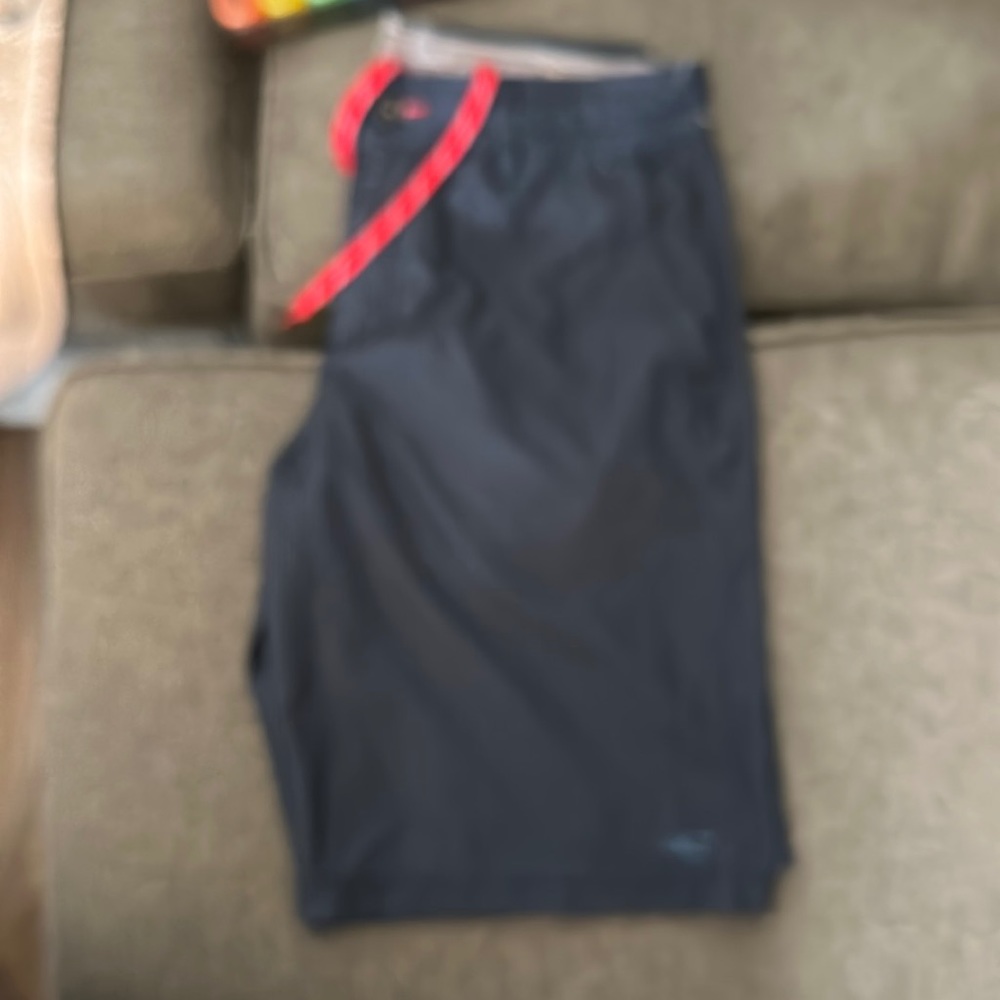 O’Neill men”: size 32 navy blue stripe shorts